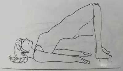 4个简单瑜伽动作养护你的腰椎(图3)