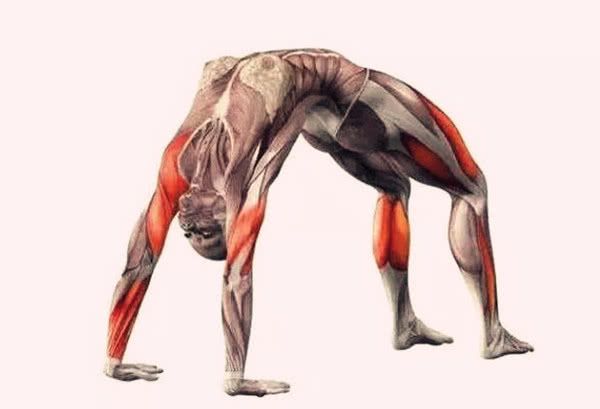 CQ9电子练习哈他瑜伽的轮式体式收紧大腿和臀部肌肉增强手臂力量(图4)